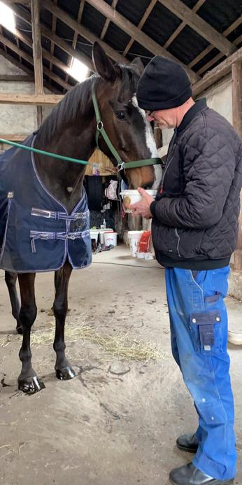 Dansk Varmblod Deefact - lau - Lau med min papfar. billede 5