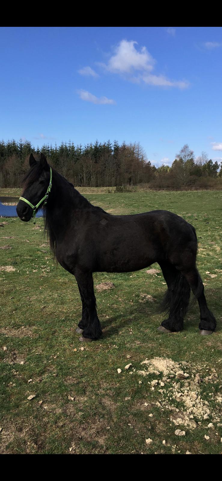 Frieser Franciska - Min prinsesse 💋 billede 8