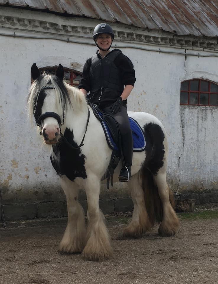 Irish Cob Luna ( Surprice Of Survivor) - Dagen vi travede for første gang <3 billede 9