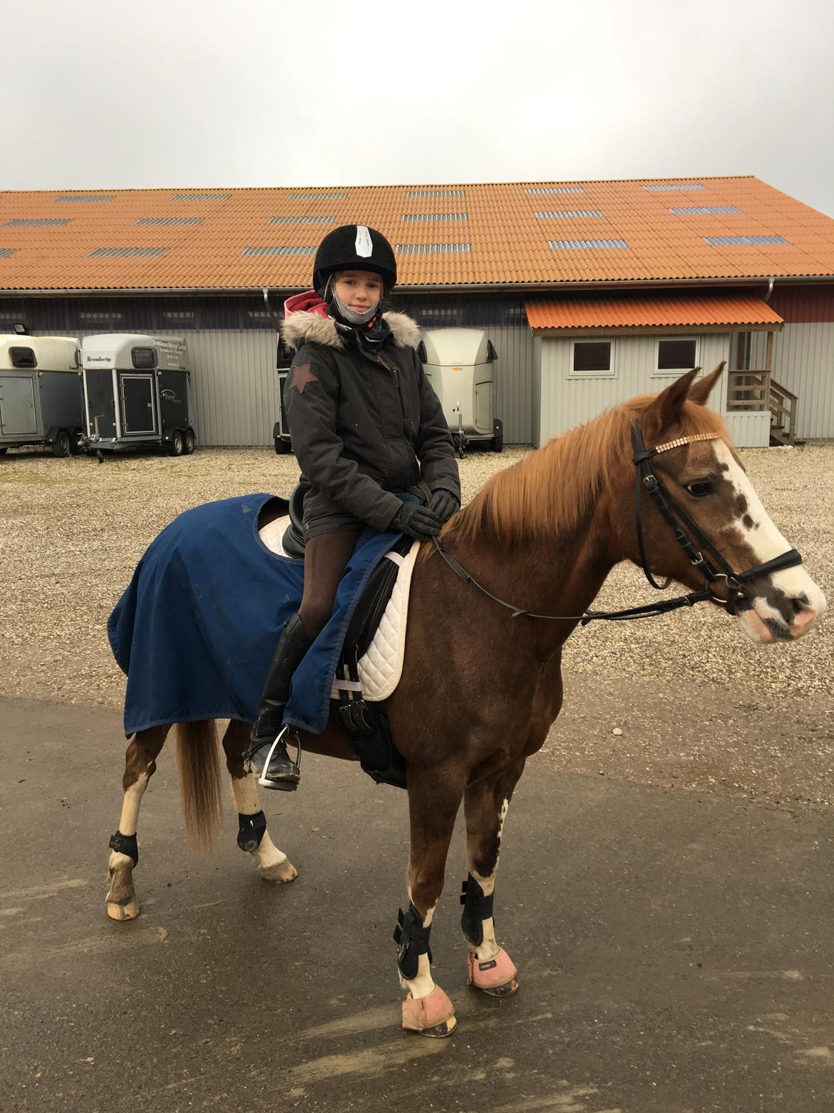 Anden særlig race La Petit Rouge - Petit og Linnea den første skovtur 2018 billede 14