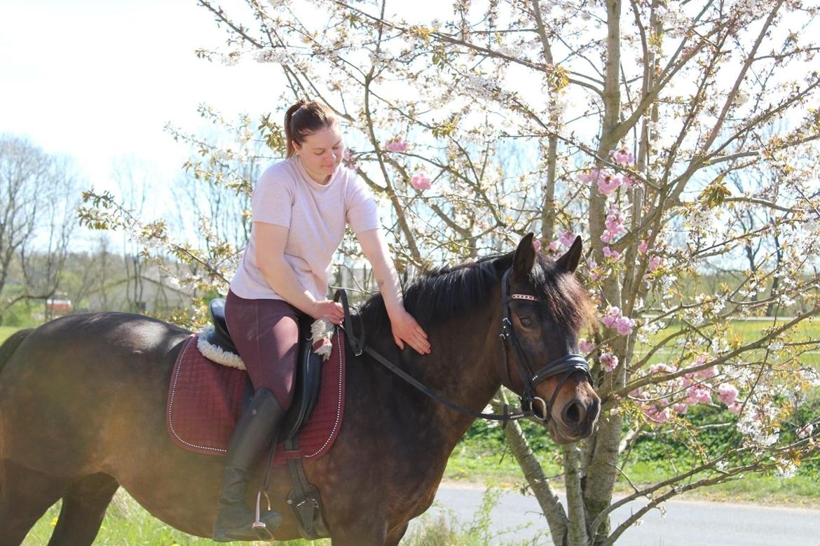 Anden særlig race Luna billede 15