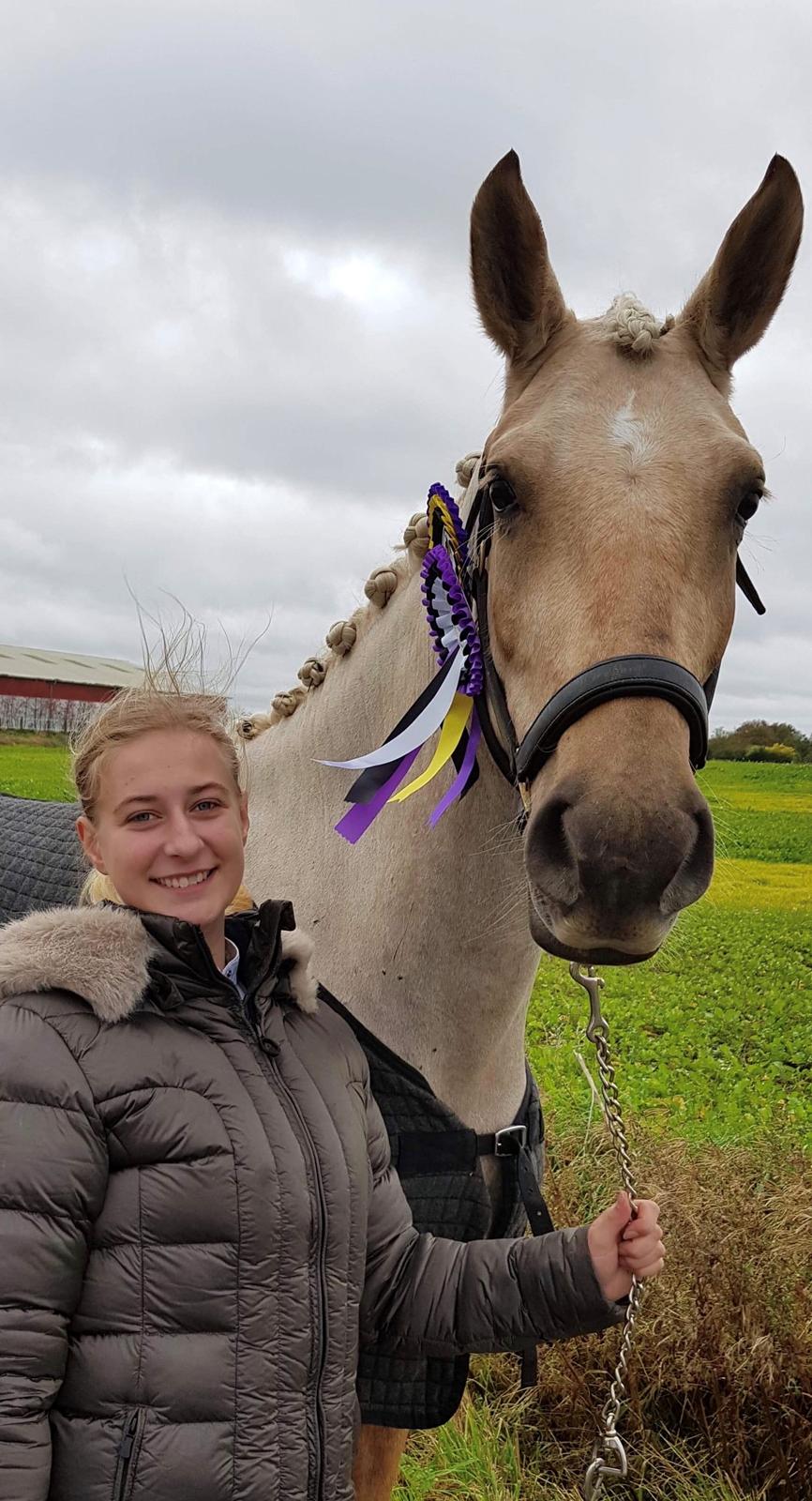 Palomino Trollelys Hemera - Første stævne!! billede 15