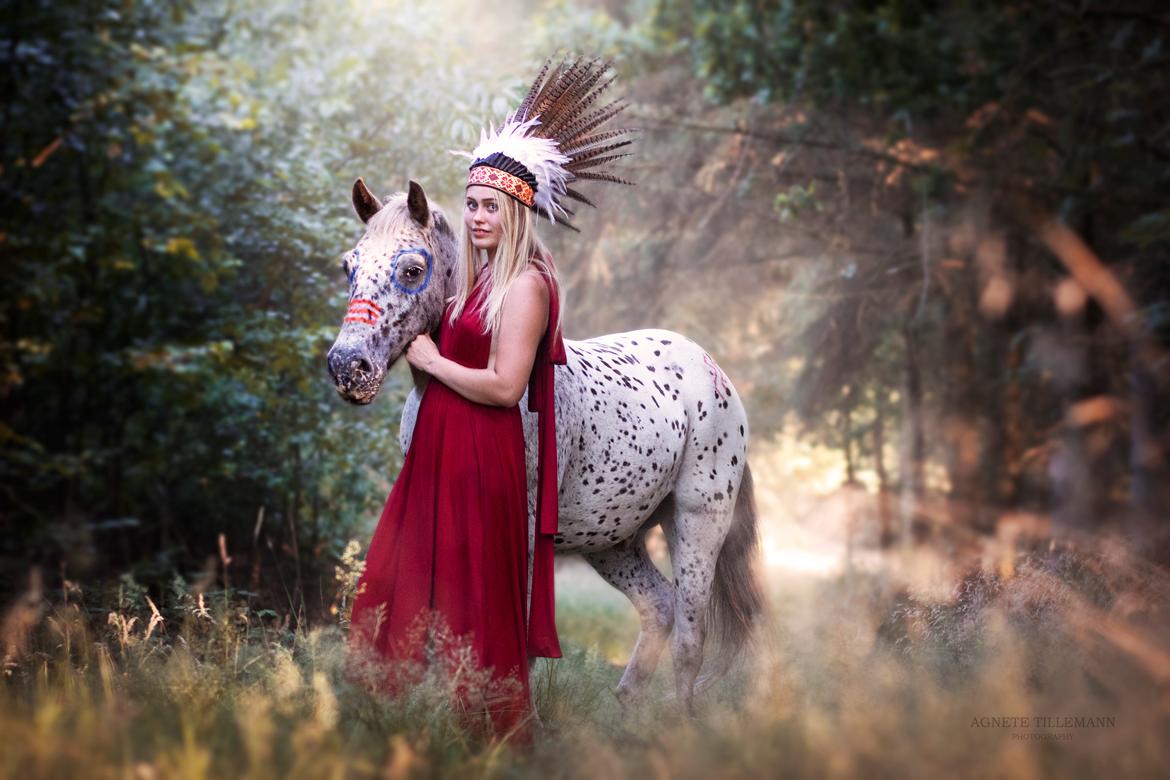 Knabstrupper løjt (my soulmate) billede 20