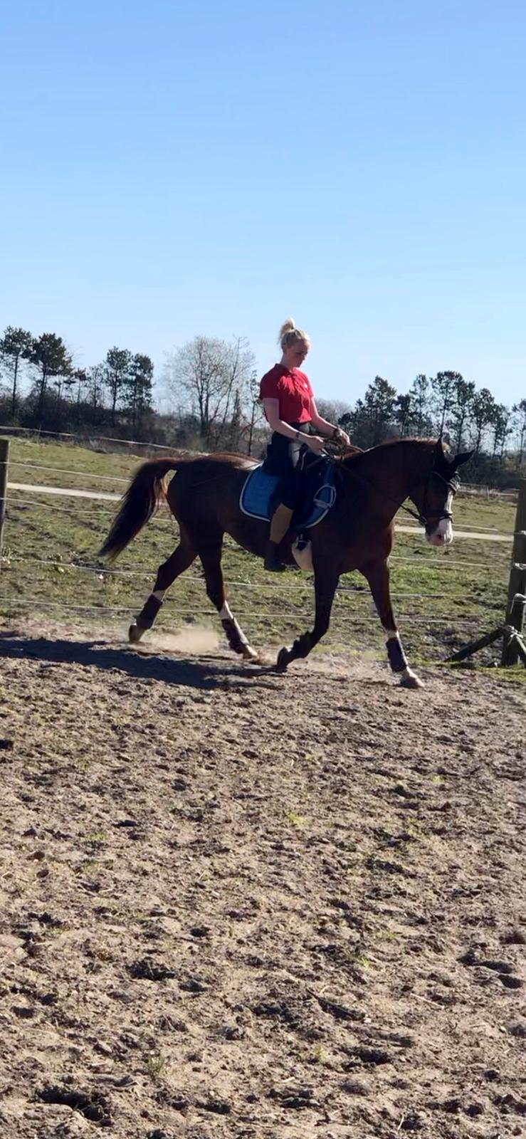 Anden særlig race Millinia billede 1