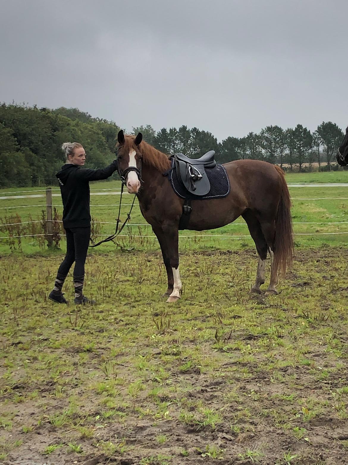 Anden særlig race Millinia billede 2