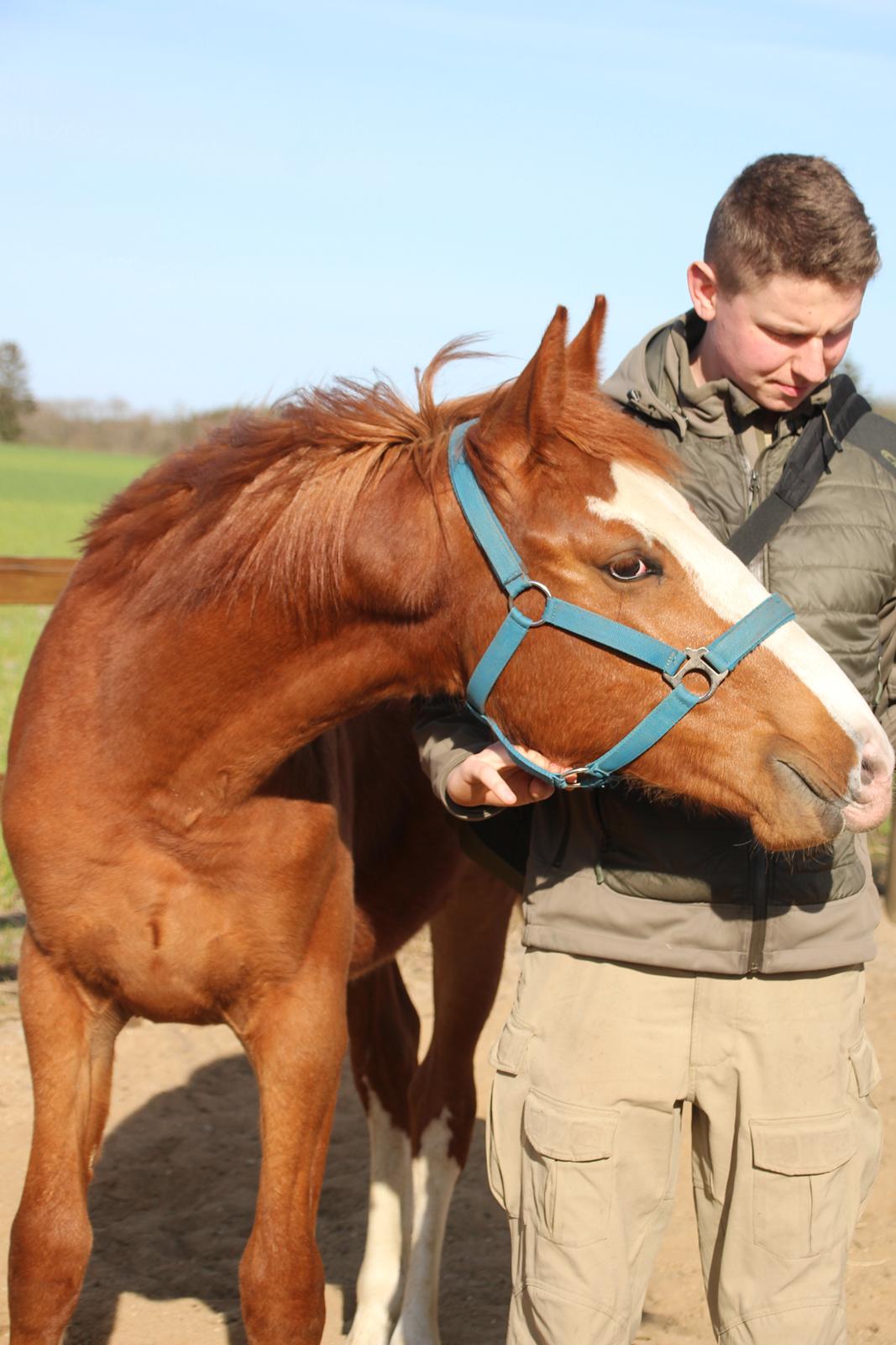 Frederiksborg Vivaldi's Disco billede 11