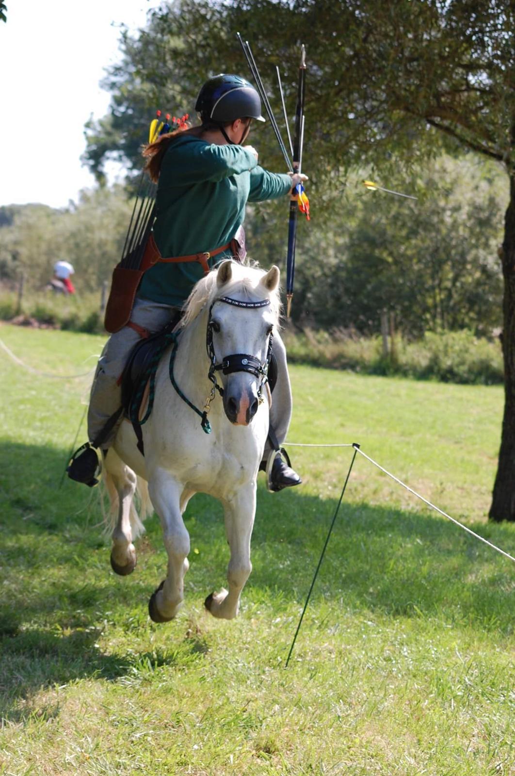 New Forest Firfod Brdr. Olsen billede 19