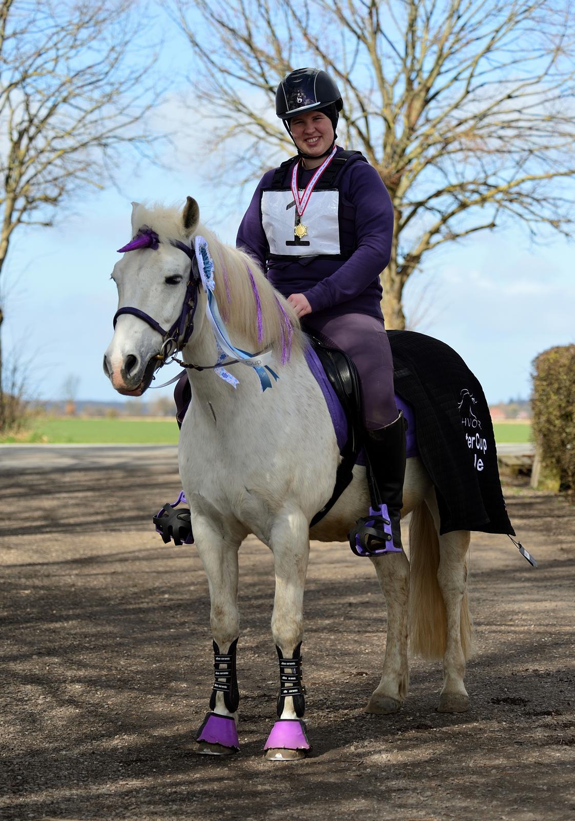 New Forest Firfod Brdr. Olsen billede 18