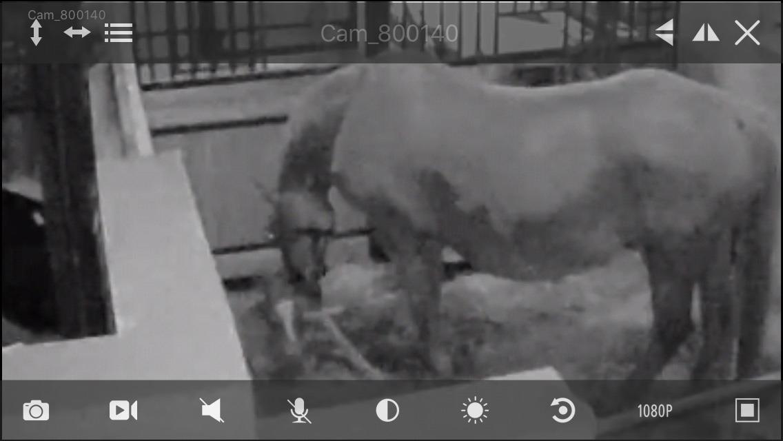 Frederiksborg Wedes Grot Fra Fogedgaard  billede 3