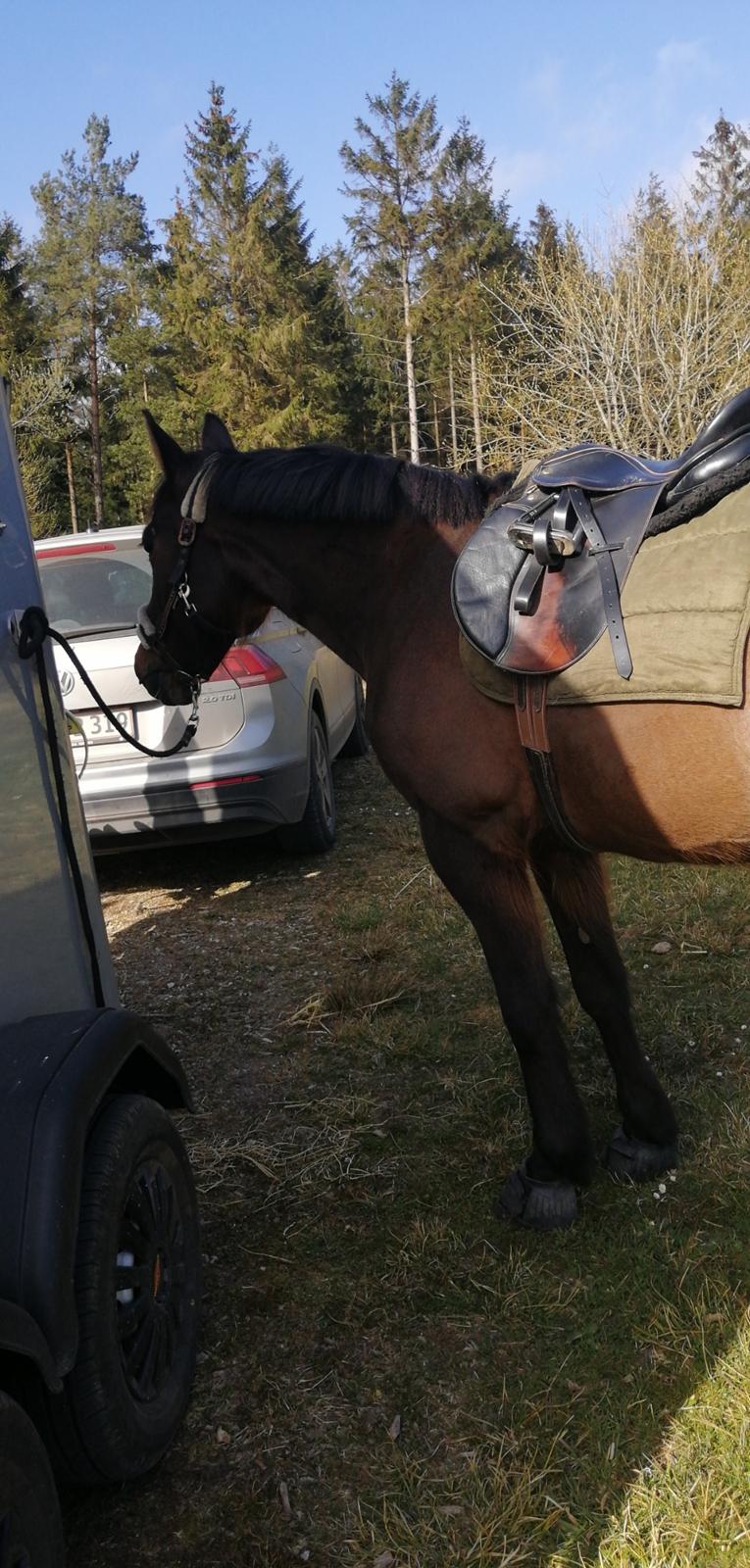 Traver Laban Act billede 6