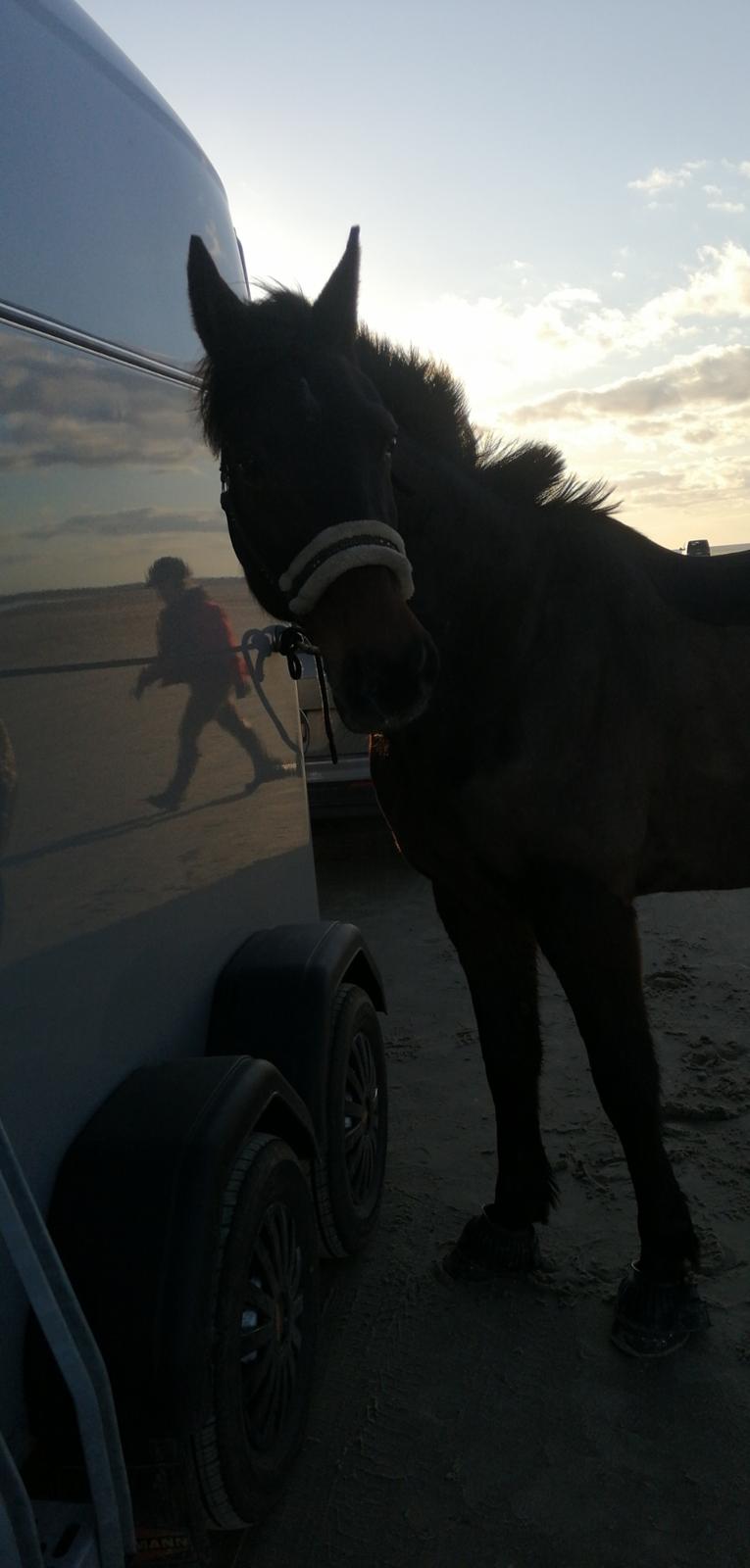 Traver Laban Act billede 8