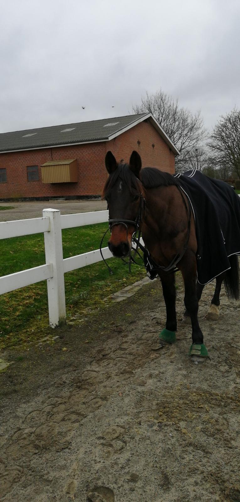 Traver Laban Act billede 11