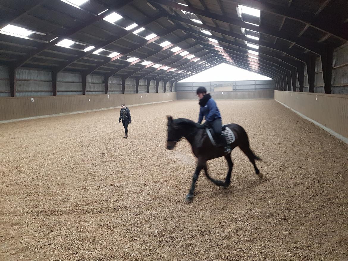 Traver Laban Act billede 18