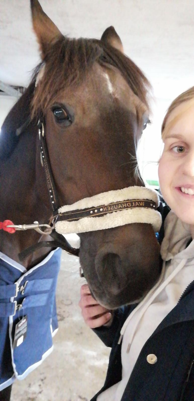 Traver Laban Act billede 19