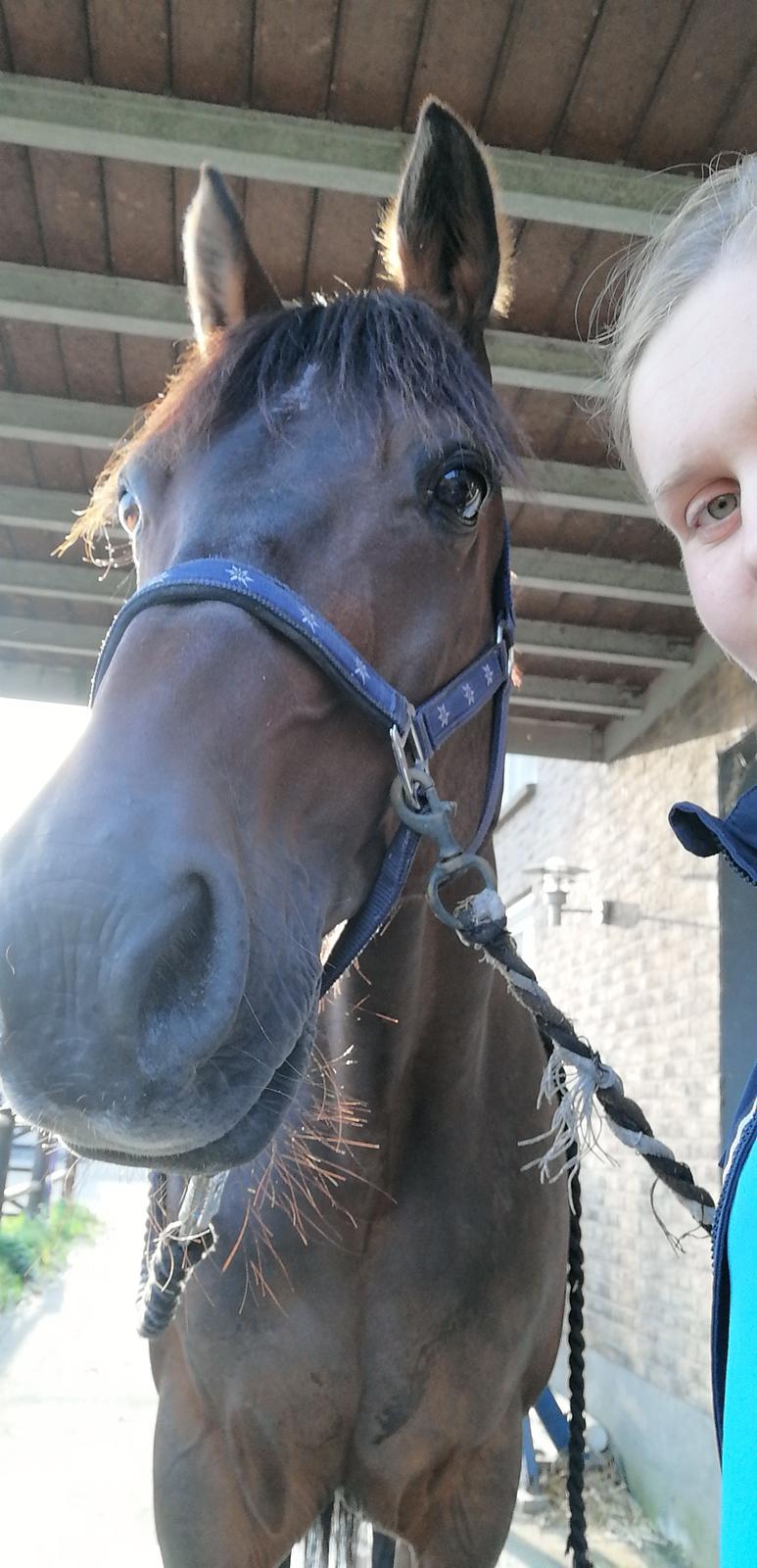 Traver Laban Act billede 20