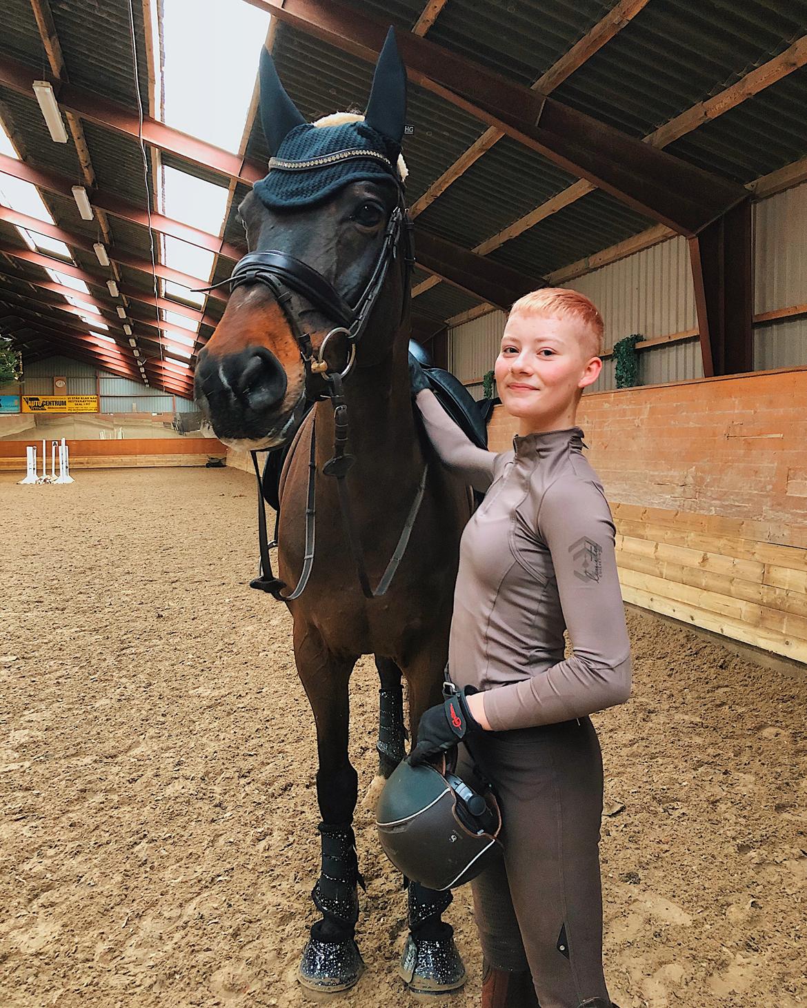 Dansk Varmblod Kjærholm's Médoc *Himmelhest* billede 12