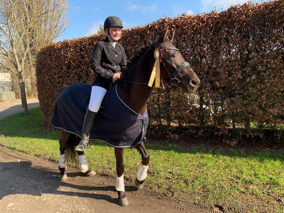 Anden særlig race Fray belize billede 9