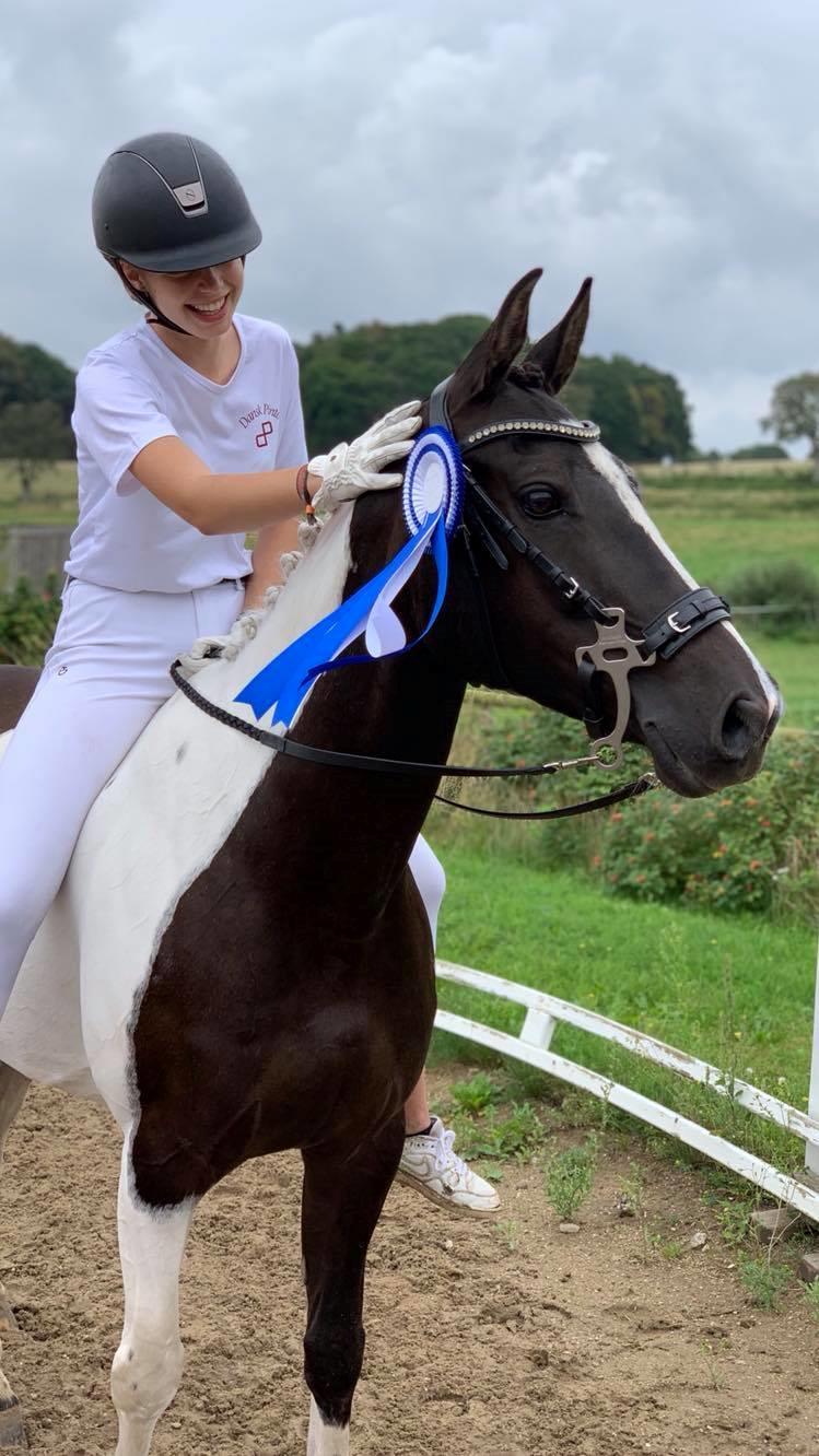 Tysk Sportspony Kyesgårds Zeldana billede 1