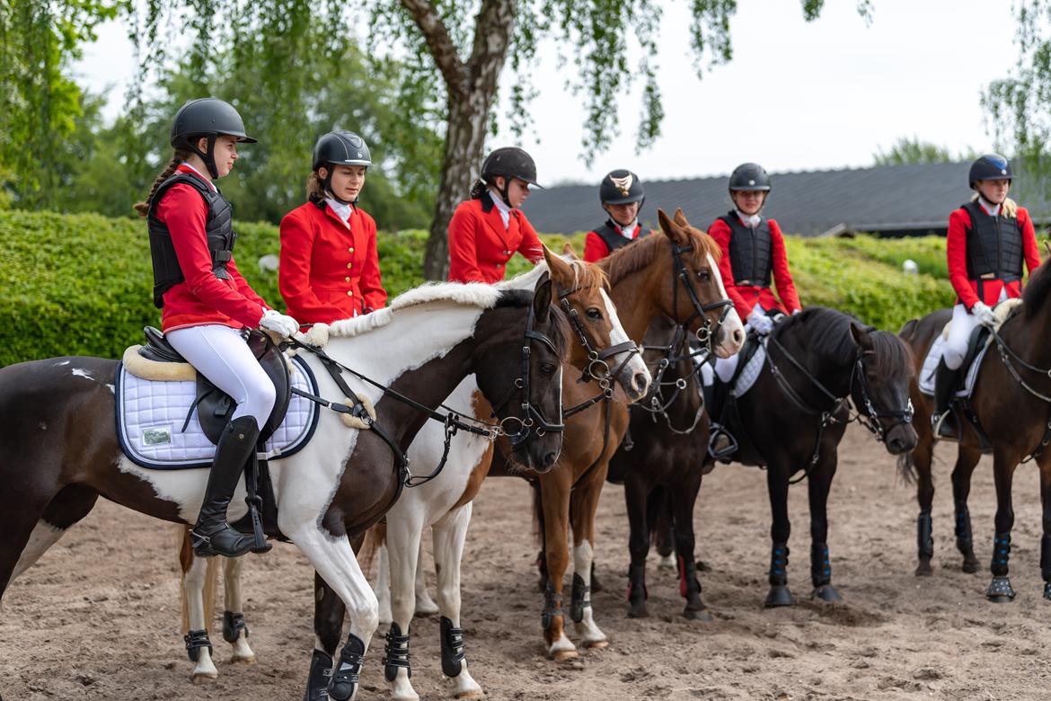 Tysk Sportspony Kyesgårds Zeldana billede 4