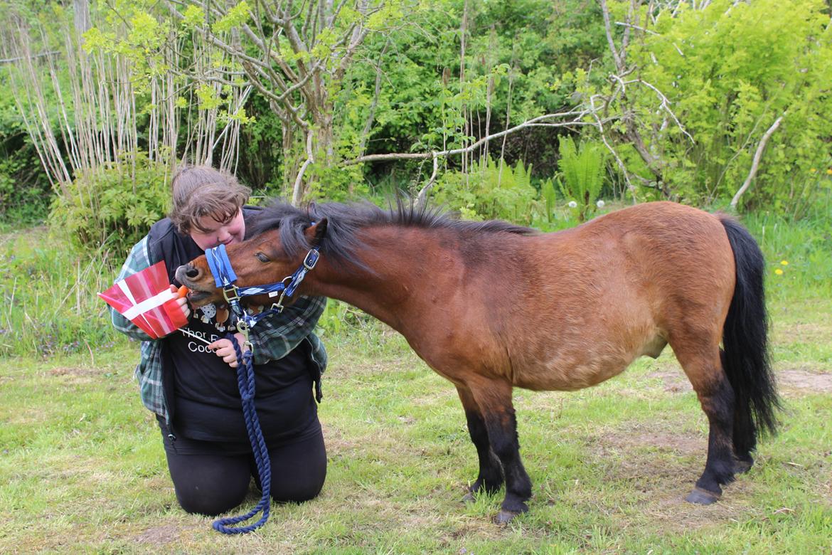 Shetlænder Thor - 18-05-2020 - 1 års dag billede 3