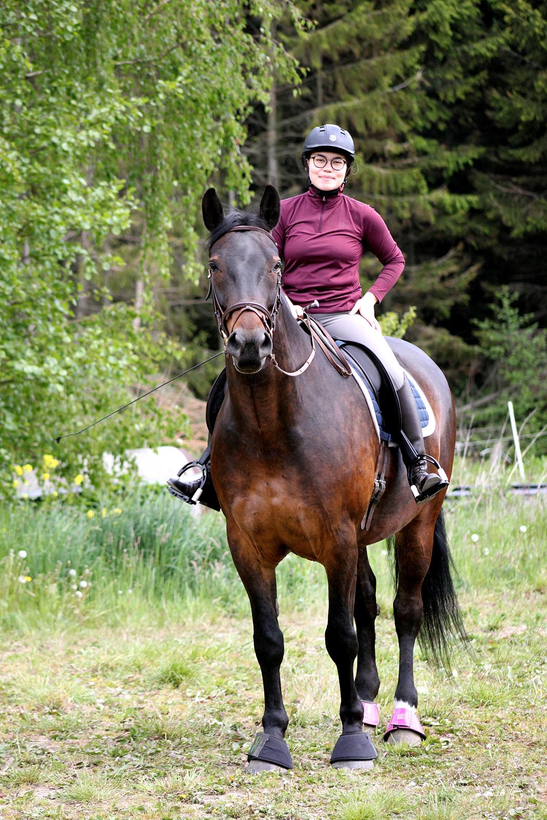 Anden særlig race Nyskovens silas af skovsøgård billede 18