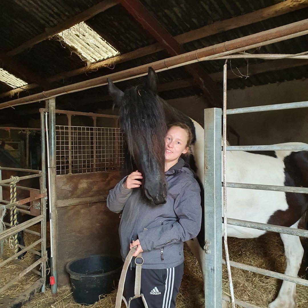 Barockpinto Jaques  billede 20