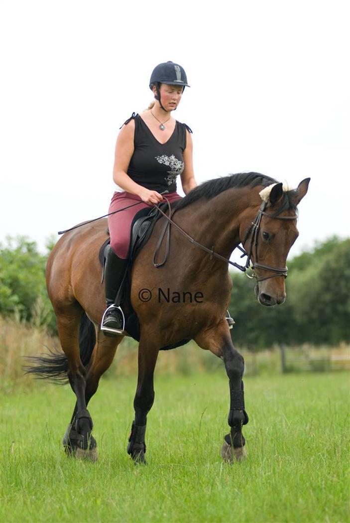 Holstener Helena billede 8