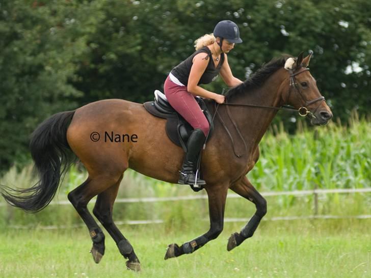 Holstener Helena billede 9