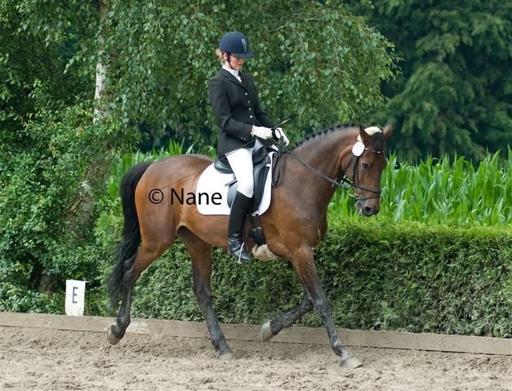 Holstener Helena billede 18