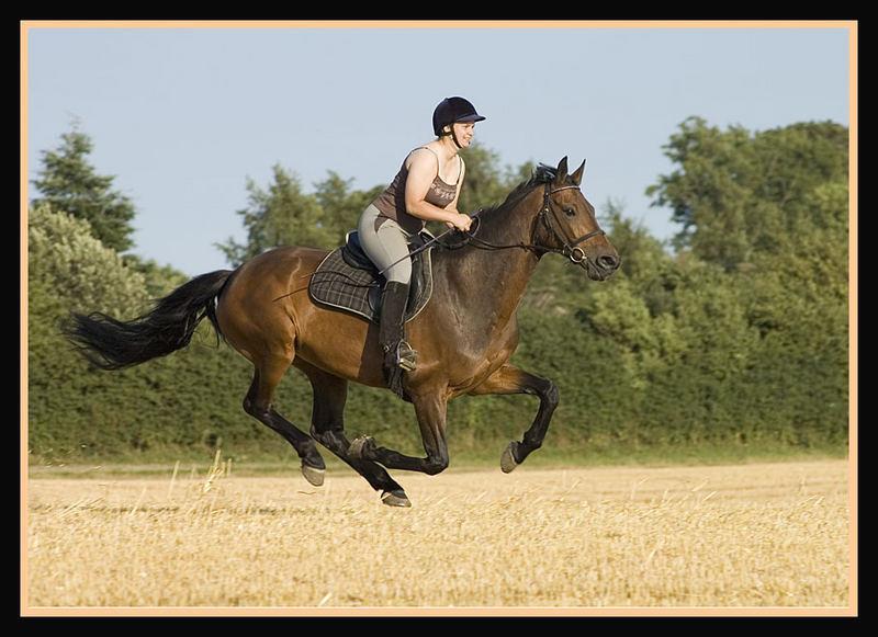 Holstener Helena billede 19