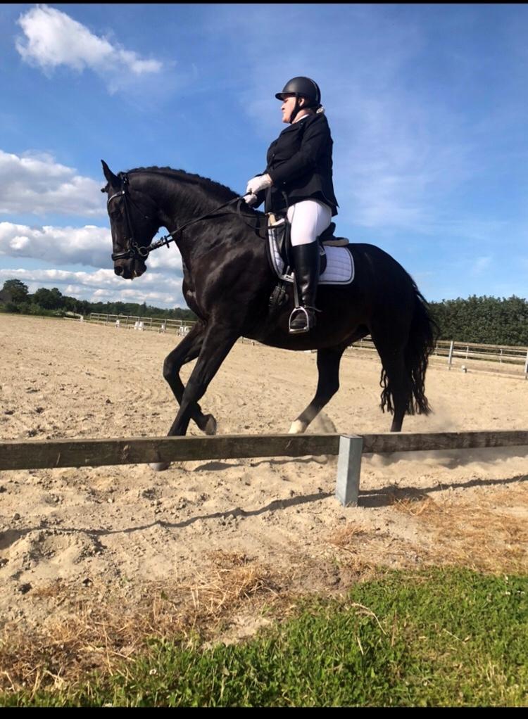 Oldenborg Another one 2 (Dundee) billede 17