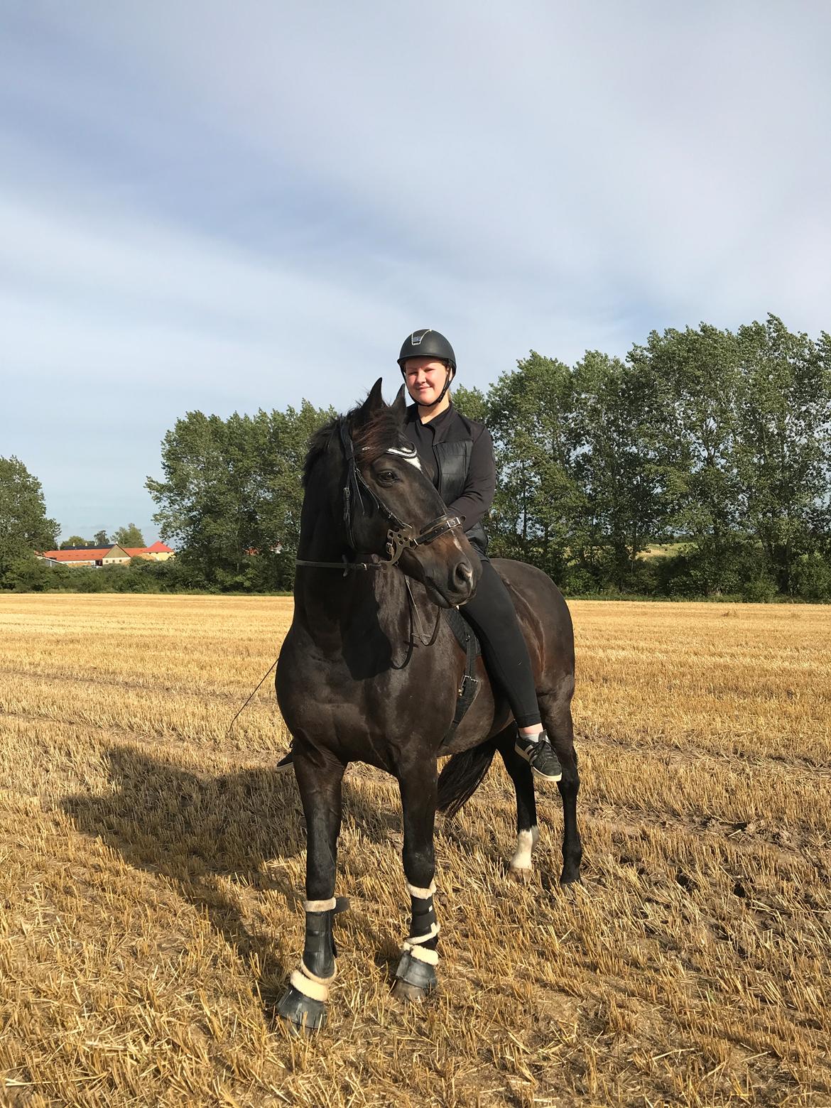 Oldenborg Another one 2 (Dundee) billede 16