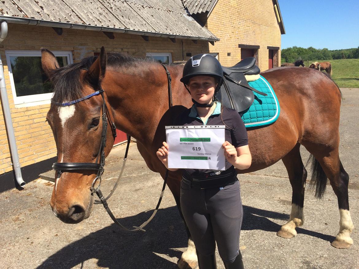 Dansk Varmblod Sunday Silence  - Corona pinseridt 1/6 2020 billede 7