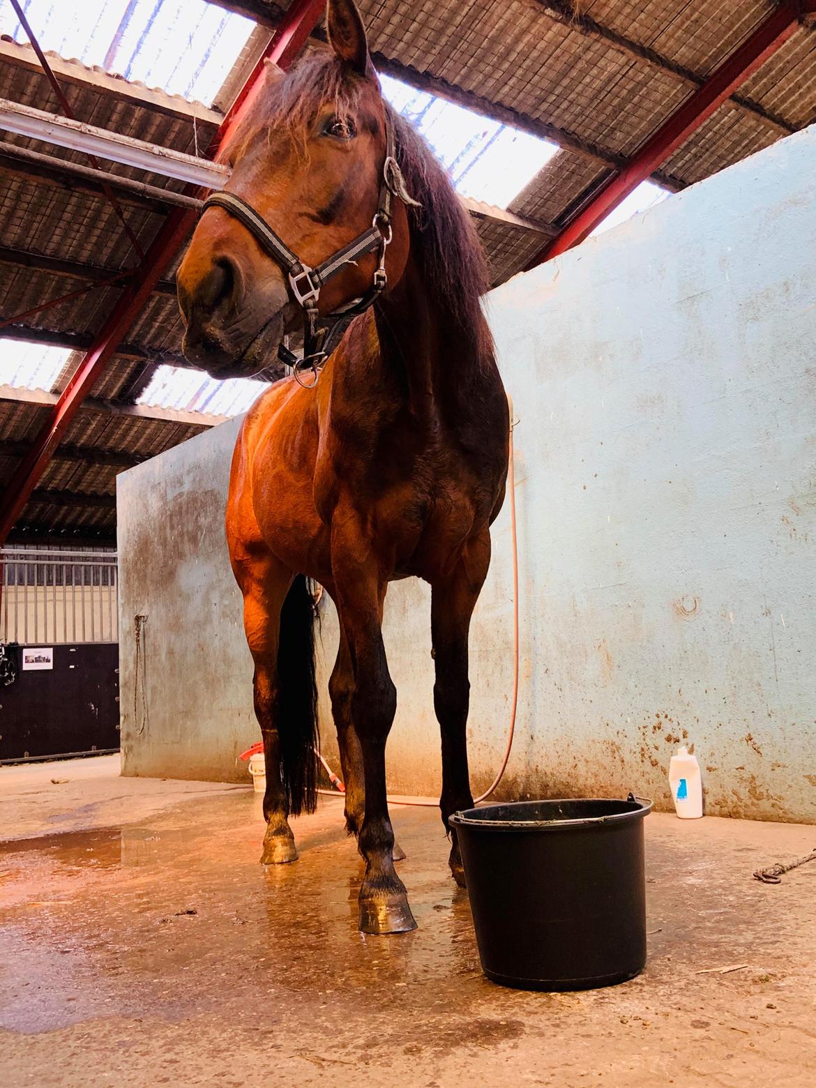 Traver Redford - Lækkert når mor har mash med hver dag :D billede 5