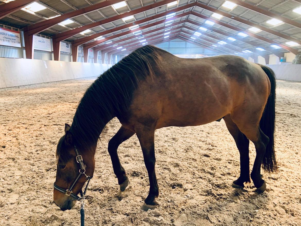 Traver Redford - Efter træning er det godt og hygge ;D billede 9