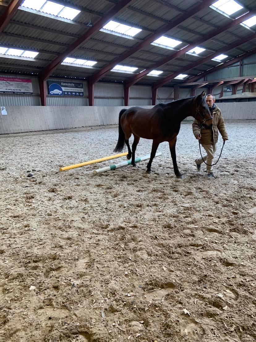 Traver Redford - Far laver lidt bomtræning billede 11