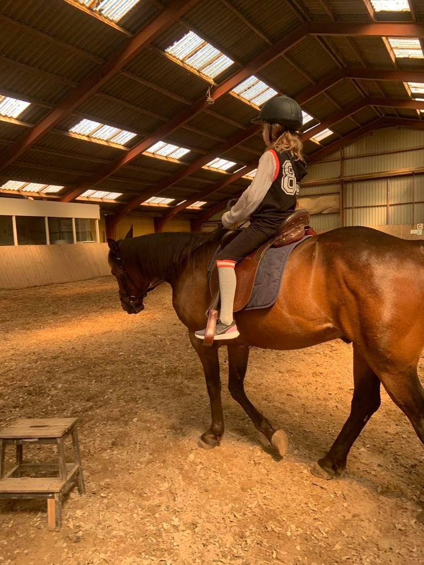 Traver Redford - Kira får en lille skridt tur billede 12