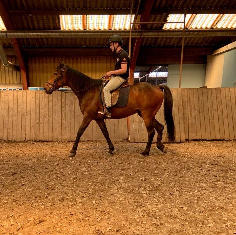 Traver Redford - Far som aldrig har redet før klare det så fint :D billede 13