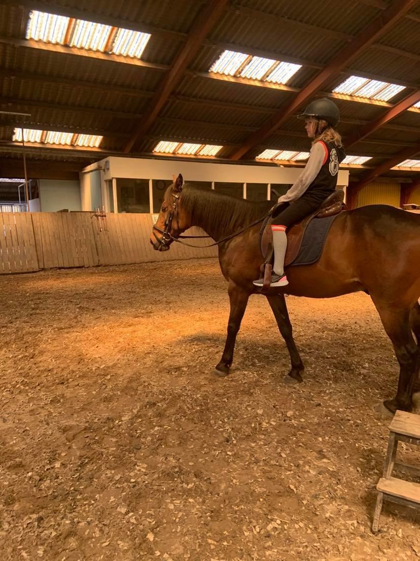 Traver Redford billede 14