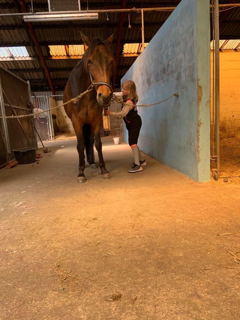 Traver Redford - Elsker at blive striglet og nusset ;D billede 15