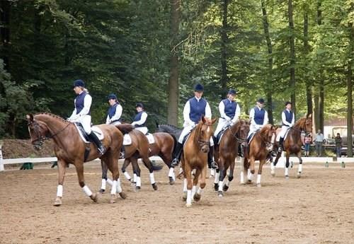 Holstener Helena billede 25