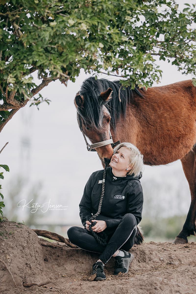 Welsh Partbred (Sec F) DJ Malthe Soleil - 3 år gammel billede 2