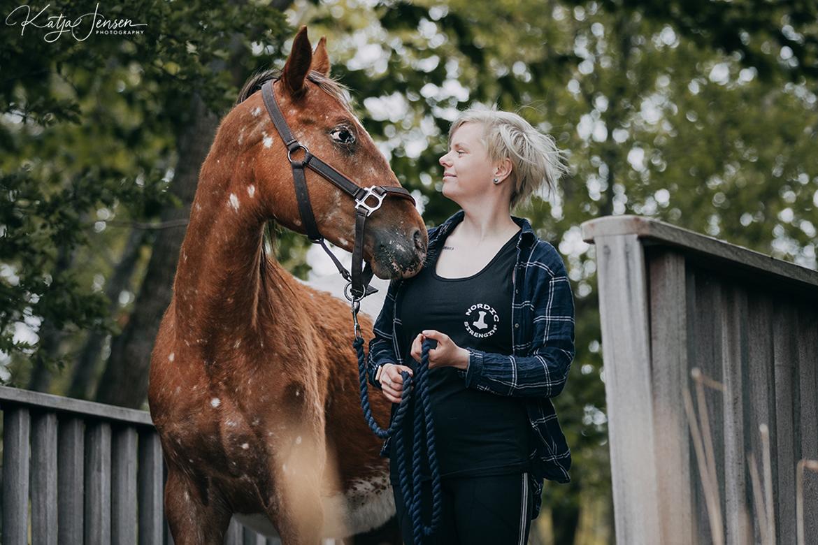 Appaloosa Oliver The Arrow - 2 år gammel billede 3