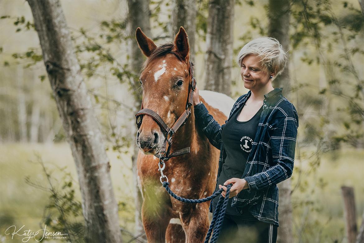 Appaloosa Oliver The Arrow - 2 år gammel billede 2