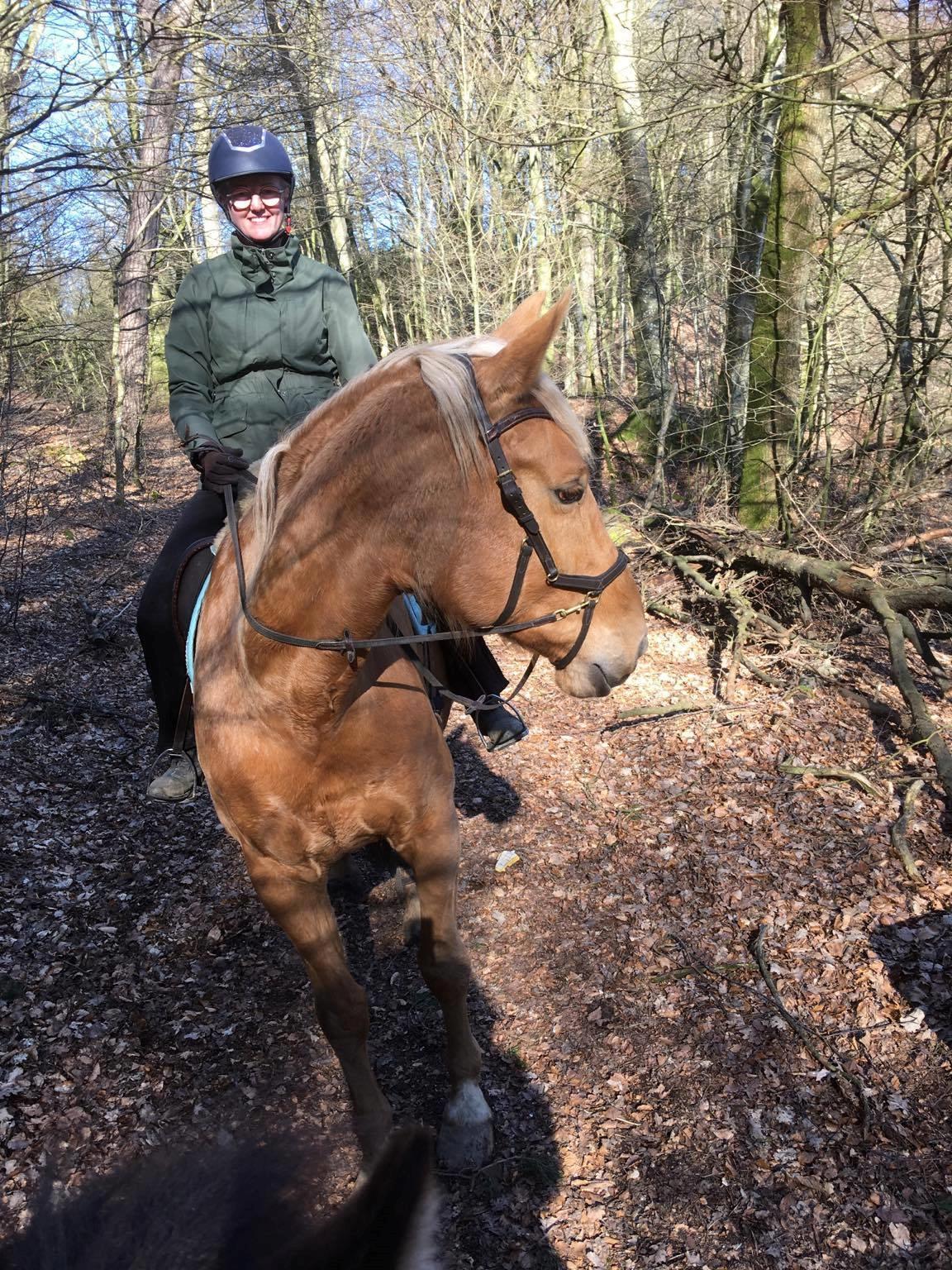 Palomino Kvistgaards Mysteria Lain ¤ My billede 10