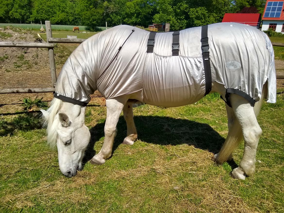 Connemara Rubin billede 2