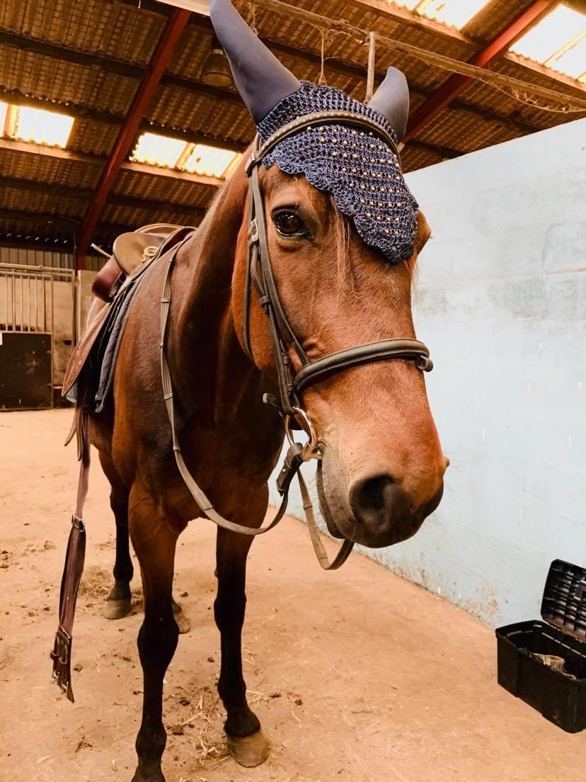 Traver Redford billede 1