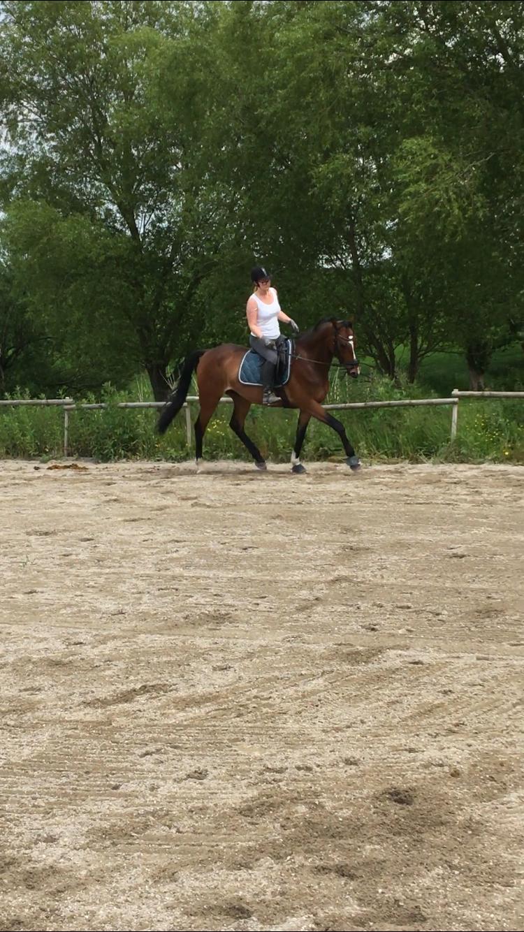 Traver Spök billede 4