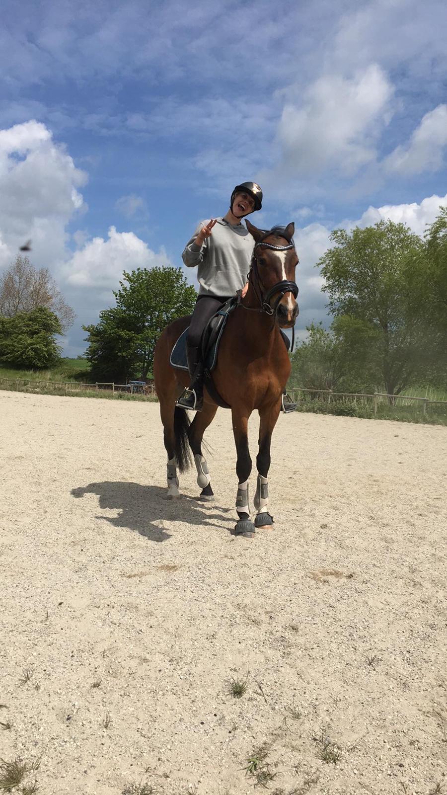 Traver Spök billede 10