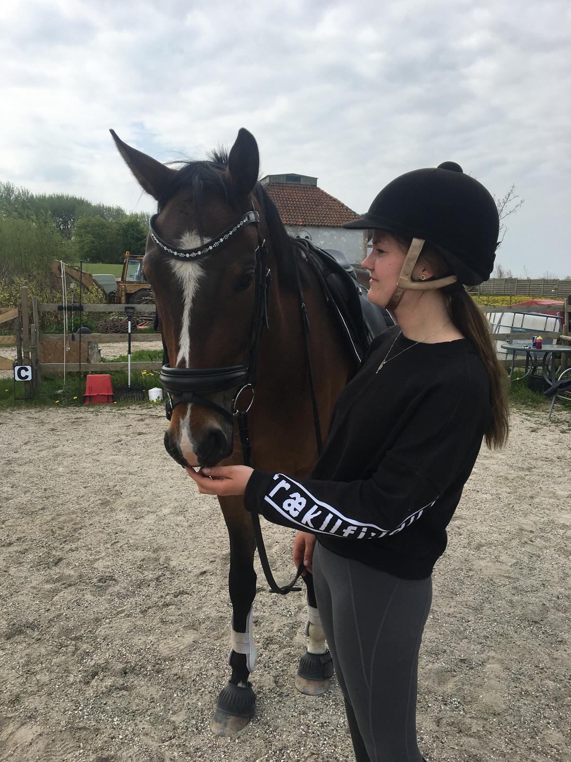 Traver Spök billede 11